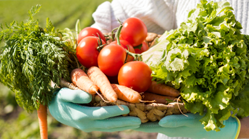 woman-holding-basket-full-different-vegetablesaaa